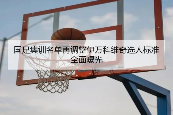 国足集训名单再调整伊万科维奇选人标准全面曝光